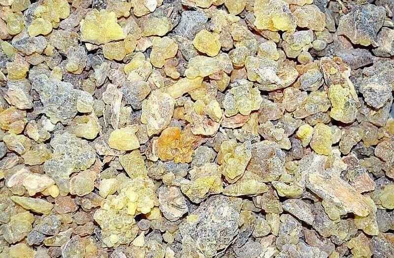 Tamaie naturala bruta punguta 100gr.