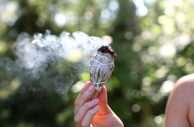 Bagheta Salvie Alba Torta (Californian White Sage Torch)