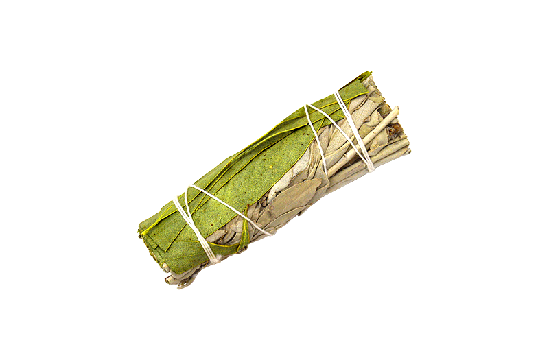 Bagheta Salvie Alba si Eucalipt (White Sage, Eucalyptus) mica