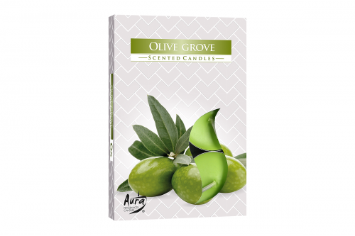 Lumanari parfumate pastila 4h (6buc.) Arbore de Maslin (Olive Grove)