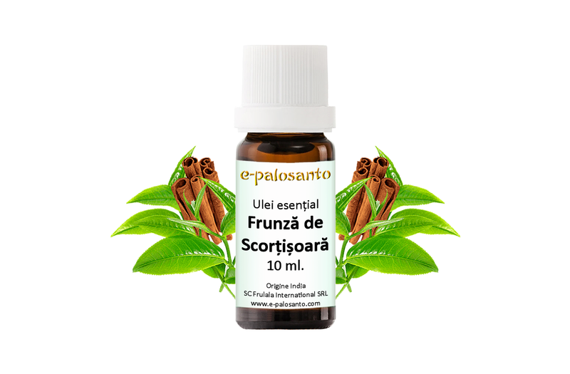 Ulei esential de Frunza de Scortisoara 10ml.