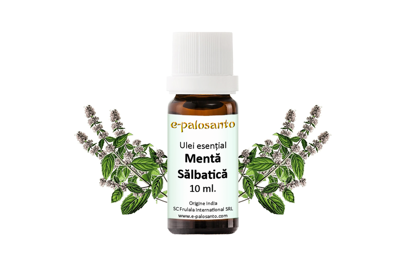Ulei esential de Menta Salbatica (Mentha Arvensis) 10ml.