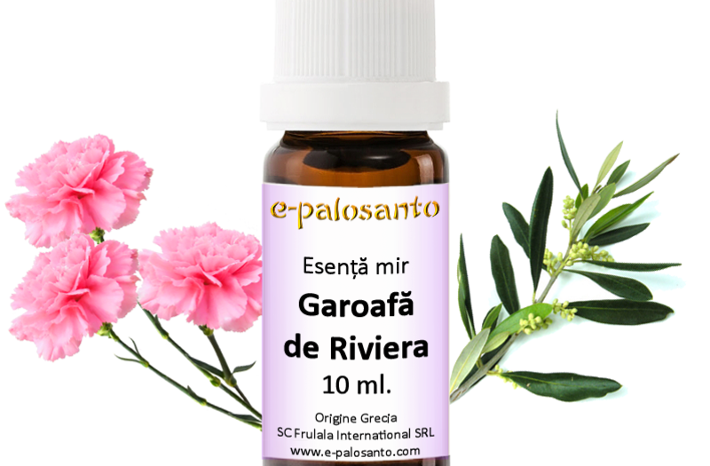 Esenta de mir Garoafa de Riviera 10ml.