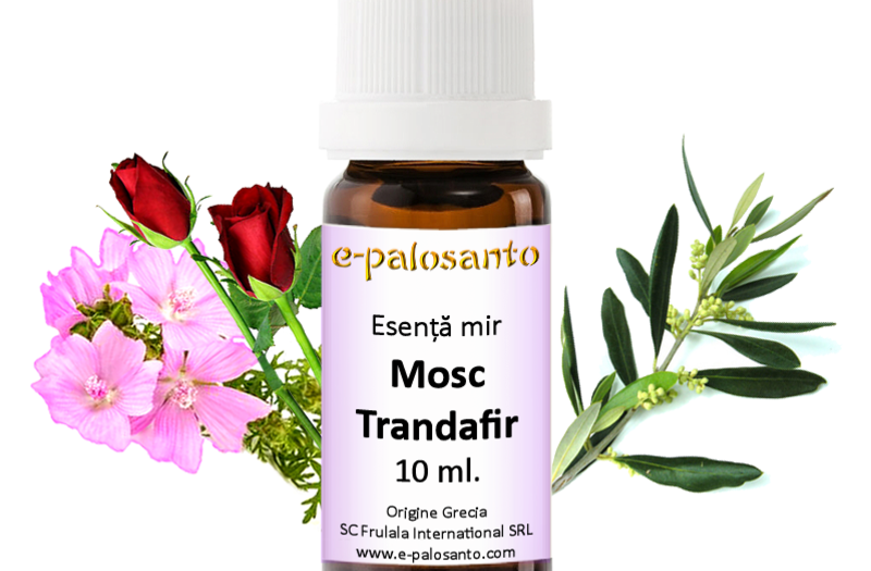 Esenta de mir Mosc-Trandafir 10ml.