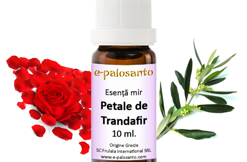 Esenta de mir Petale de Trandafir 10ml.