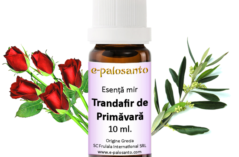 Esenta de mir Trandafir de Primavara 10ml.