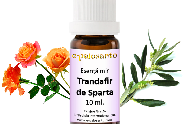 Esenta de mir Trandafir de Sparta 10ml.