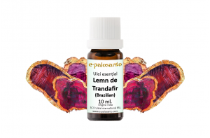 Ulei esential de Lemn de Trandafir (Brazilian) 10ml.