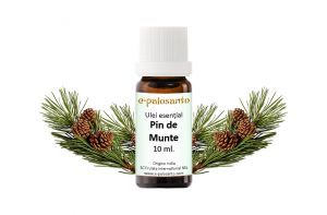 Ulei esential de Pin de Munte 10ml.